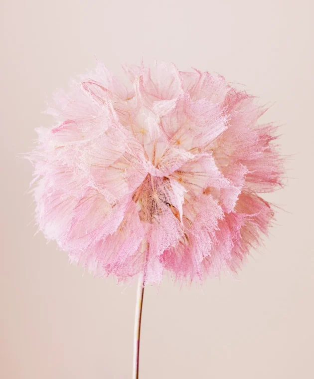 TICA_Inspiratiepagina_trendguide_GentlePower_slider_5