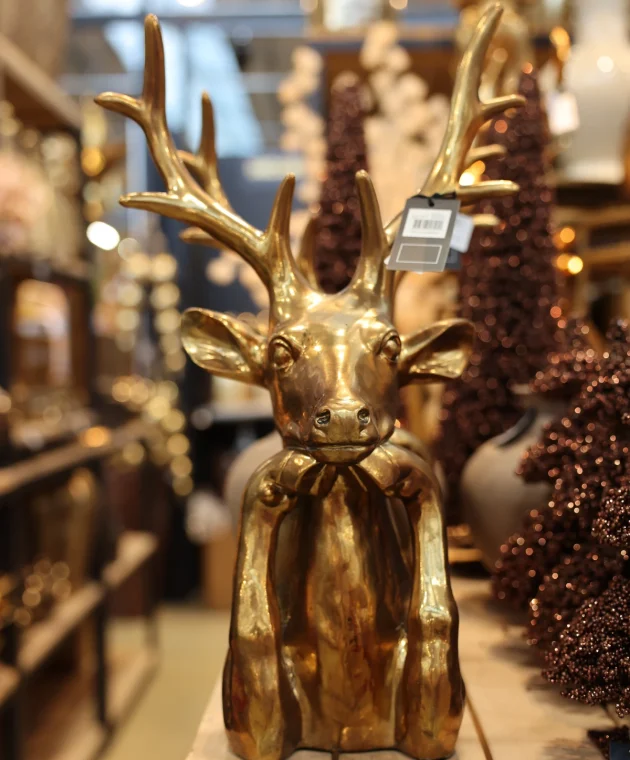 Fall 2026 golden interior statues at TICA Venlo