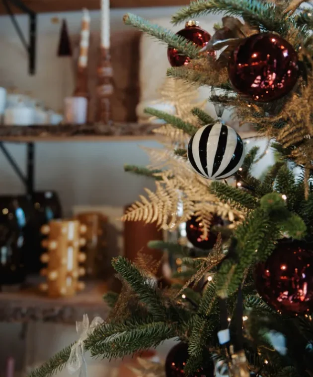 Typisch-TICA-Binnenkijken-bij-Geniet-Bloem-en-Lifestyle_uitgelicht