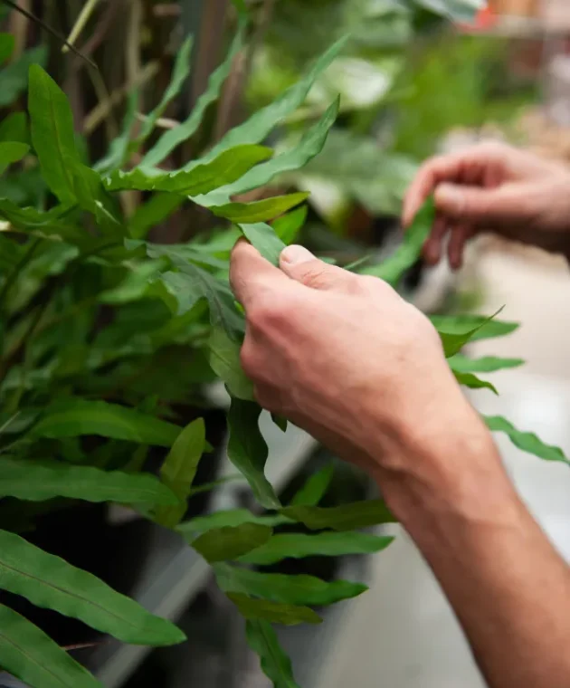 Typisch-TICA-aan-het-woord-Remco_slider