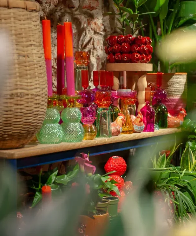 Typisch-TICA-binnenkijken-bij-Rood-Bloem_slider