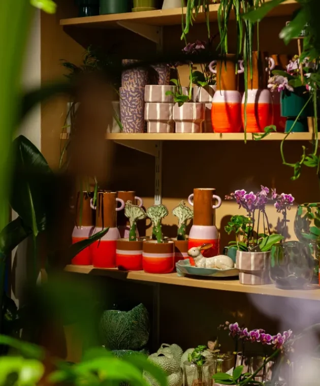 Typisch-TICA-binnenkijken-bij-Rood-Bloem_slider